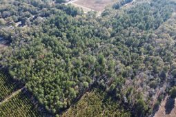 Tbd Jeffcoat Road photo 4