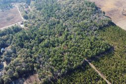 Tbd Jeffcoat Road photo 4