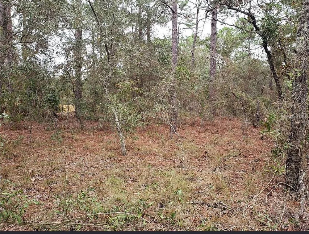 0 Horn Avenue, Brooksville, FL 34613 Photo