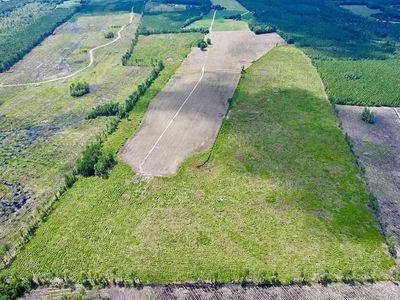 TBD Hwy 527, New Zion, SC 29111