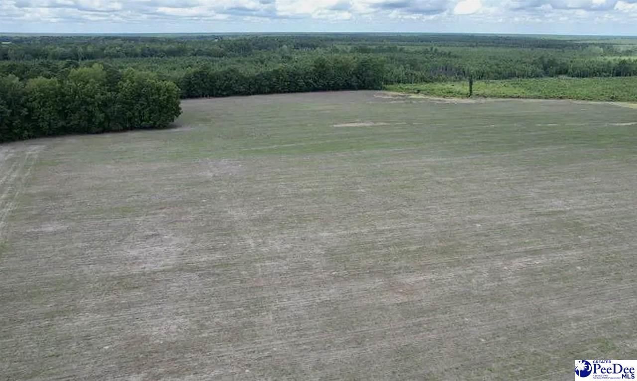 Tbd Hwy 527 Photo 10