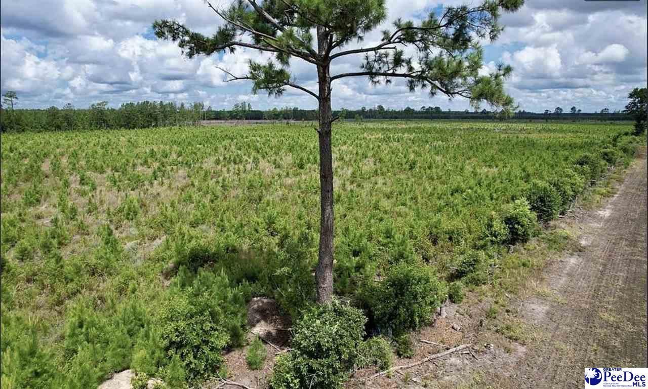 Tbd Hwy 527 Photo 11