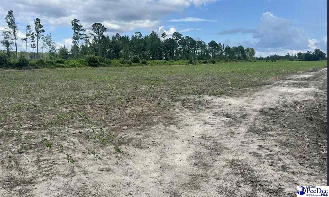 Tbd Hwy 527 Photo 12