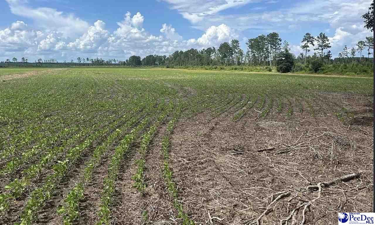 Tbd Hwy 527 Photo 13