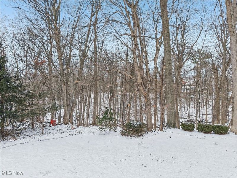 472 Sunset Drive, Amherst, OH 44001 Photo 12