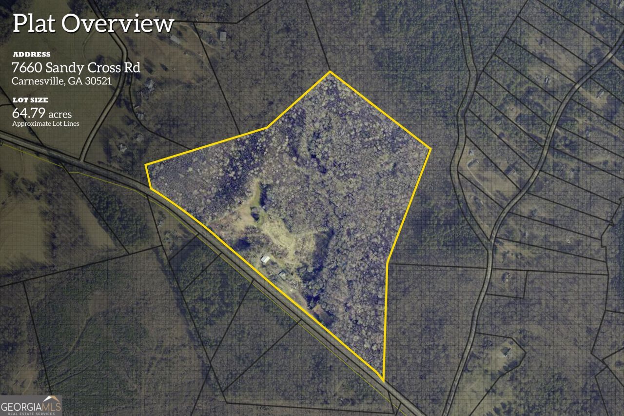 7660 Sandy Cross Road, Carnesville, GA 30521 Main Photo