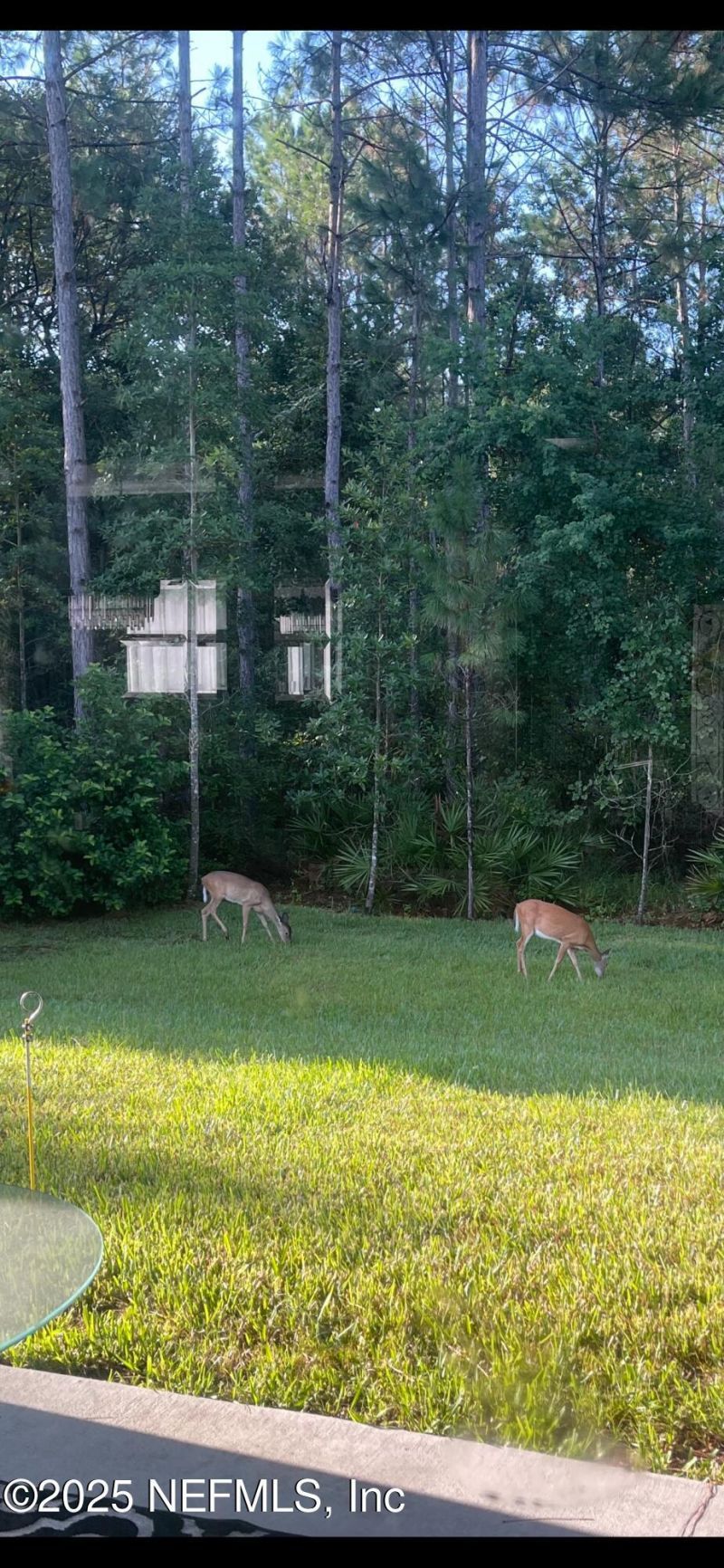 4328 Eagle Landing Parkway, Orange Park, FL 32065 Photo