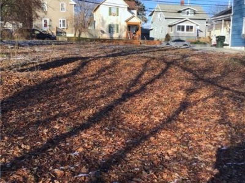 1076 Belleview Avenue, Barberton, OH 44203 Photo 4