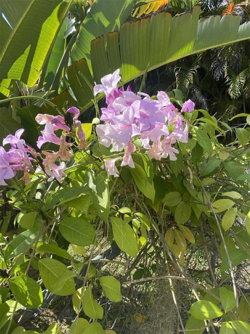 27511 Cleveland Avenue, Punta Gorda, FL 33982 Photo