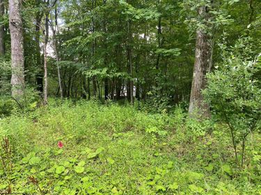 Lot 72 Oak Drive, Terra Alta, WV 26764