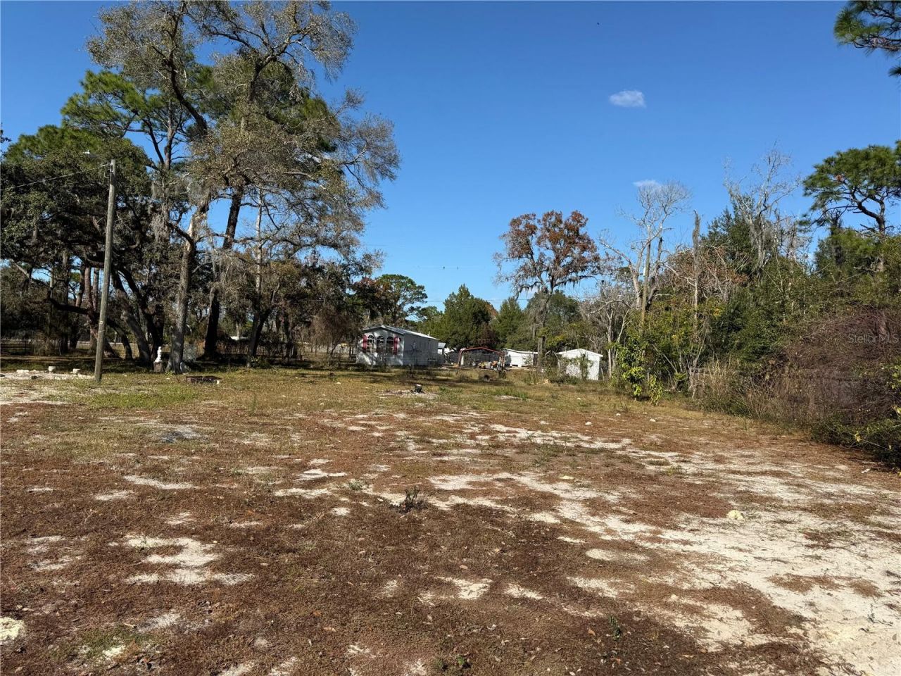 14208 Mayer Avenue, Hudson, FL 34669 Photo