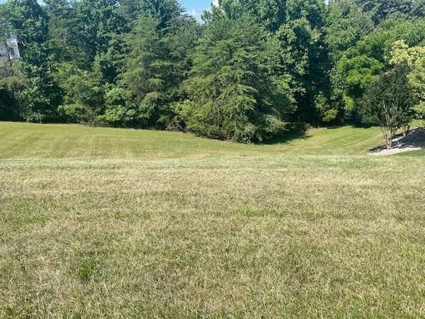 Lot 18 Watch Hill CIR , Moneta, VA 24121