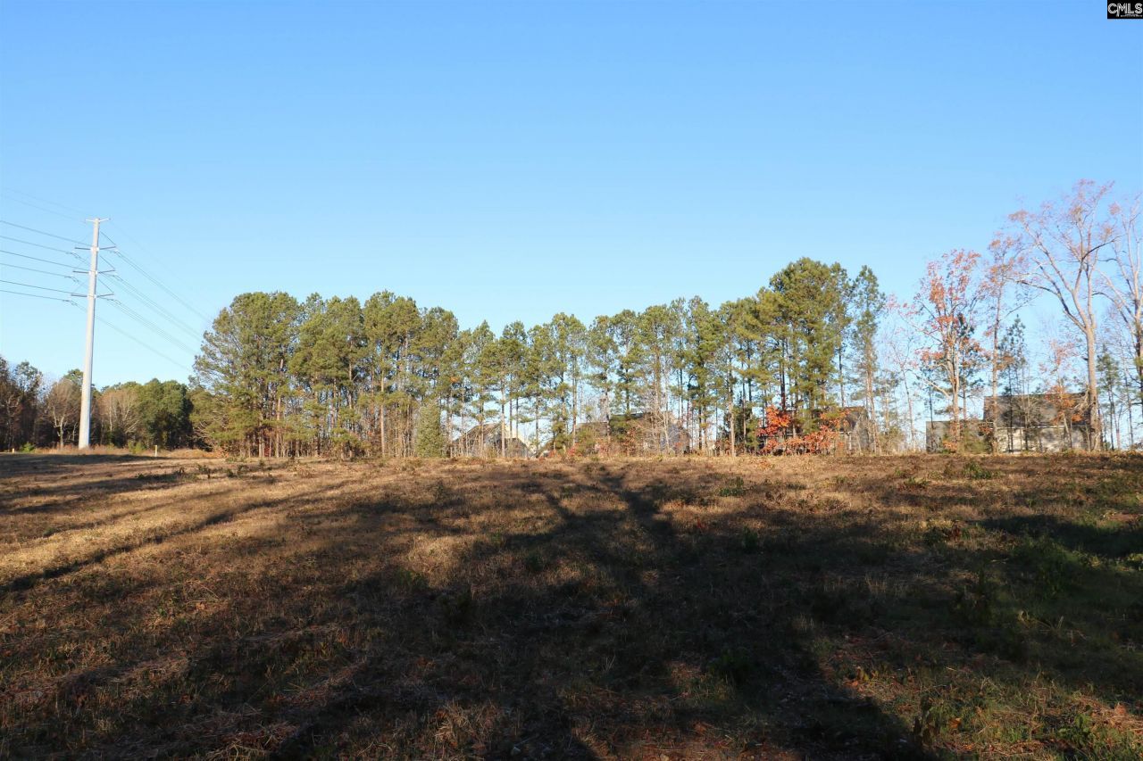 0 Bethany Drive  Photo 4