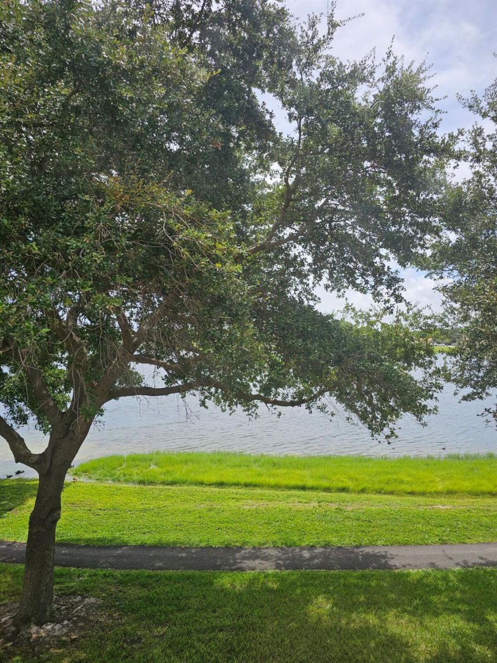 3150 Leewood Terrace, Unit L222, Boca Raton, FL 33431 Photo