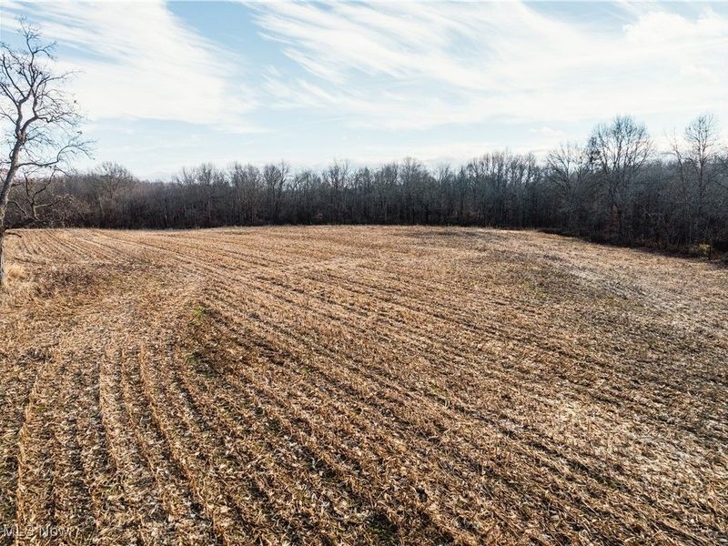 Eddleblute Road, Frazeysburg, OH 43822 Photo 3