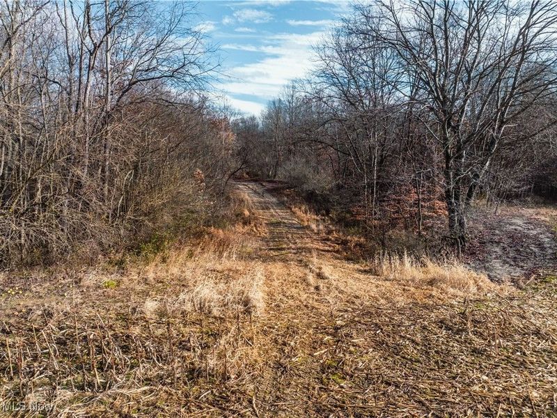 Eddleblute Road, Frazeysburg, OH 43822 Photo 5