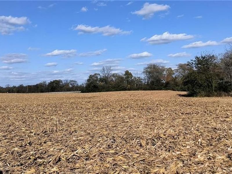 5765 Lilly Chapel Opossum Road, London, OH 43140 Photo 34