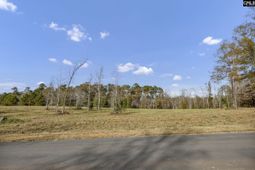 0 Woodside Shores Drive  photo 4