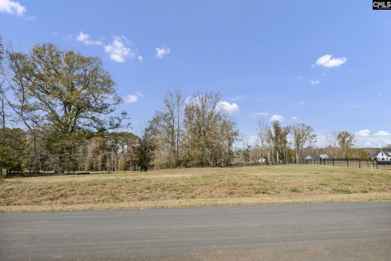 0 Woodside Shores Drive  Photo 5