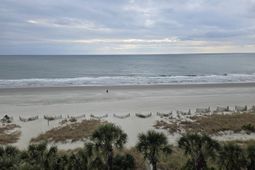 3000 Ocean Blvd. N photo 4