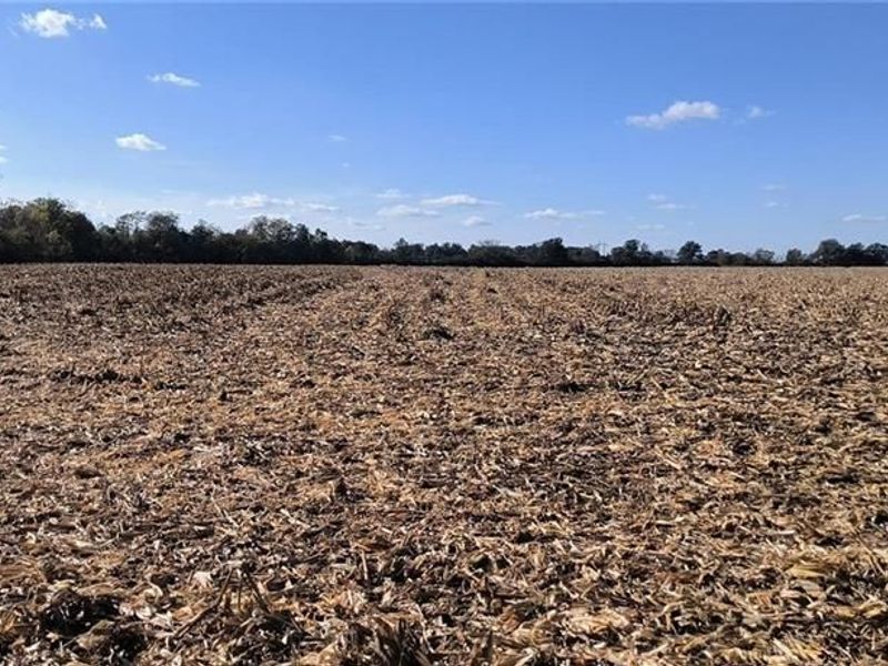 Tract 1 Kiousville Georgesvl Road, London, OH 43140 Photo 32