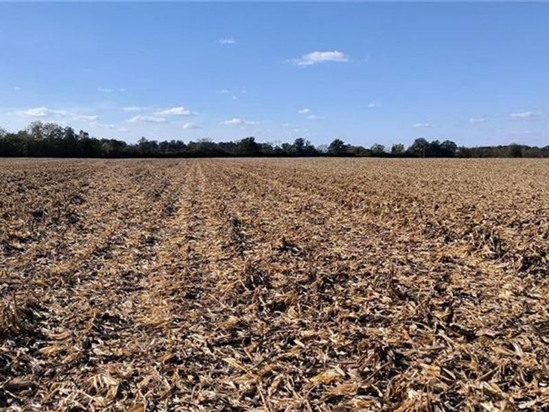 Tract 1 Kiousville Georgesvl Road, London, OH 43140 Photo 33