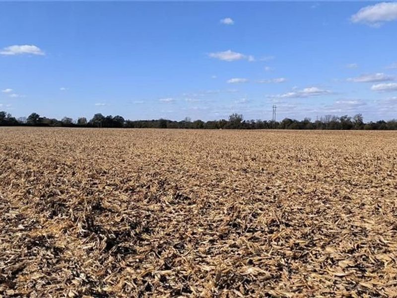 Tract 1 Kiousville Georgesvl Road, London, OH 43140 Photo 35