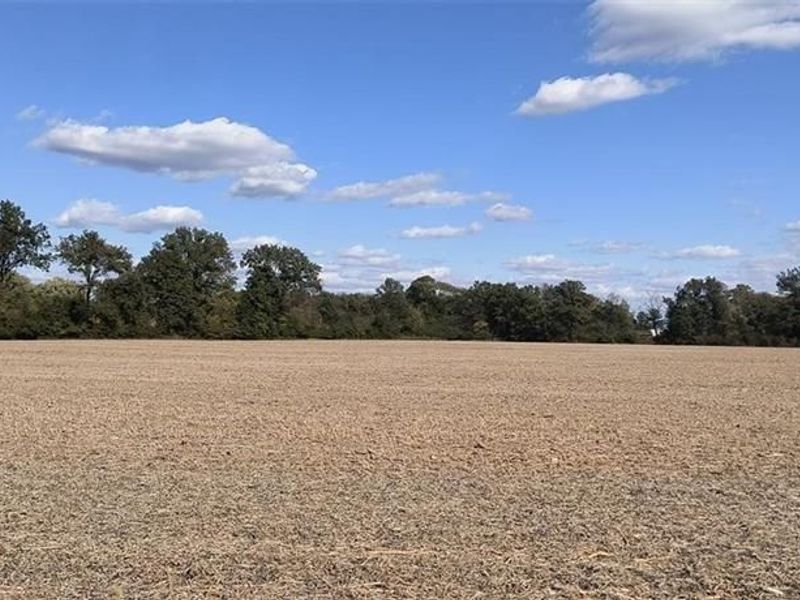 5930 Lilly Chapel Opossum Road, London, OH 43140 Photo 14