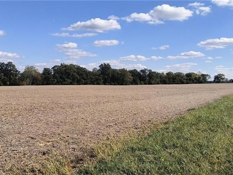 5930 Lilly Chapel Opossum Road, London, OH 43140 Photo 16