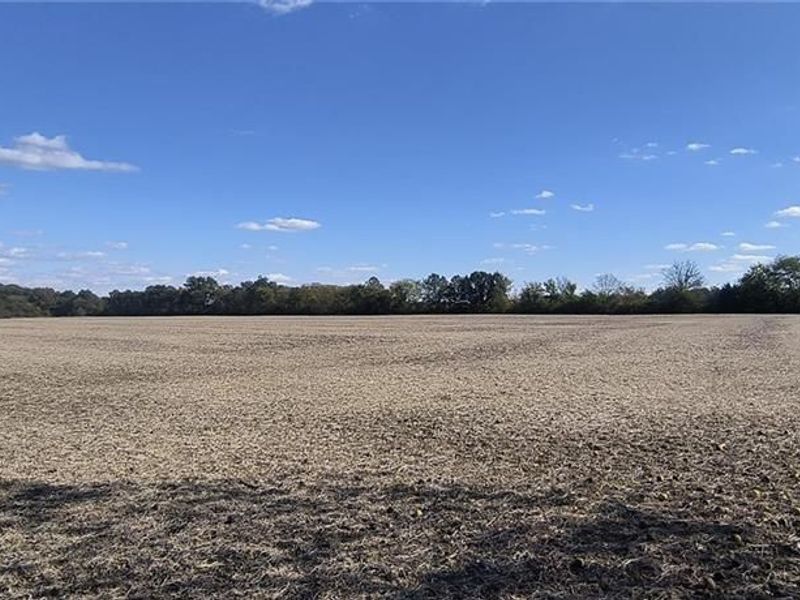 5930 Lilly Chapel Opossum Road, London, OH 43140 Photo 26