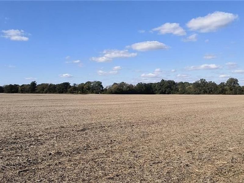 5930 Lilly Chapel Opossum Road, London, OH 43140 Photo 8