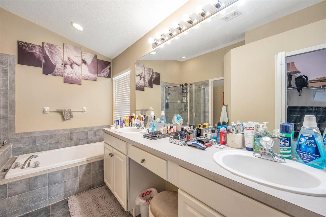 12308 Adventure Drive, Riverview, FL 33579 Photo