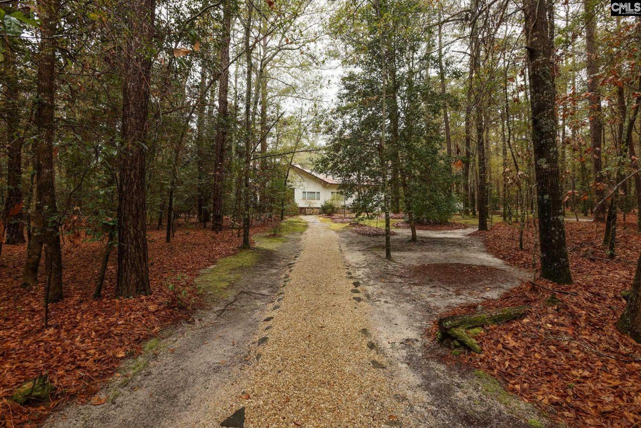 6447 Neeses Highway Photo 68