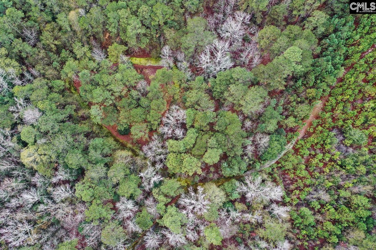 6447 Neeses Highway Photo 7