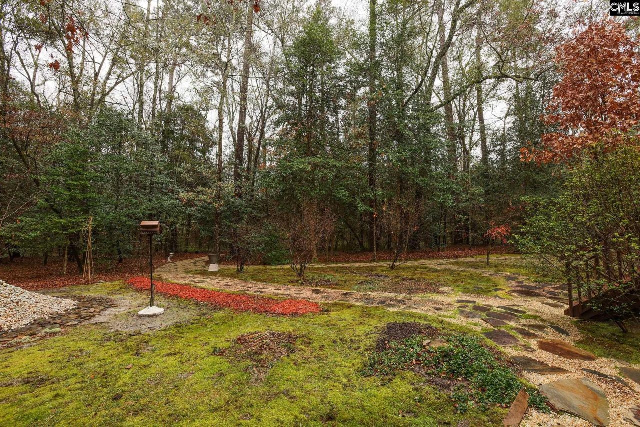 6447 Neeses Highway Photo 70