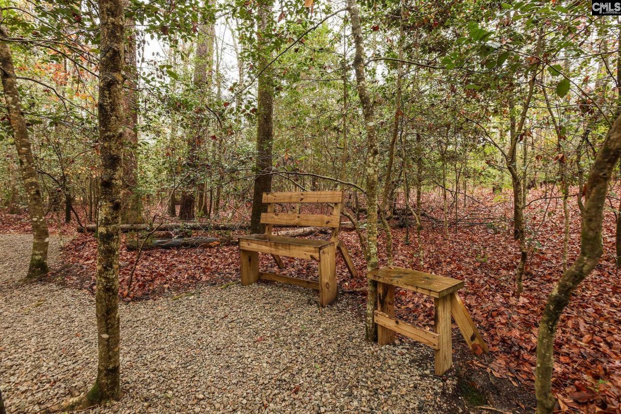 6447 Neeses Highway Photo 75