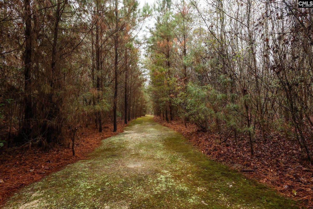 6447 Neeses Highway Photo 78