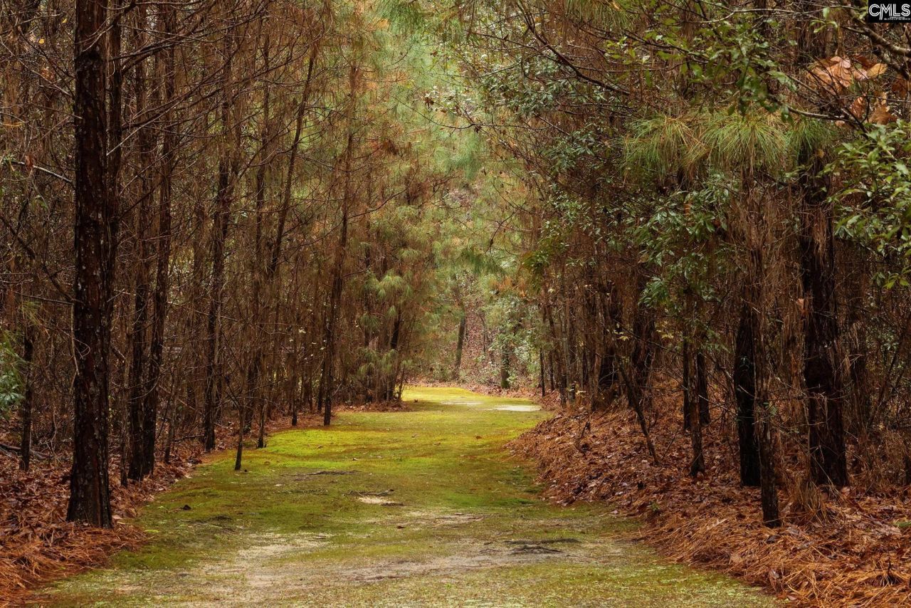 6447 Neeses Highway Photo 79