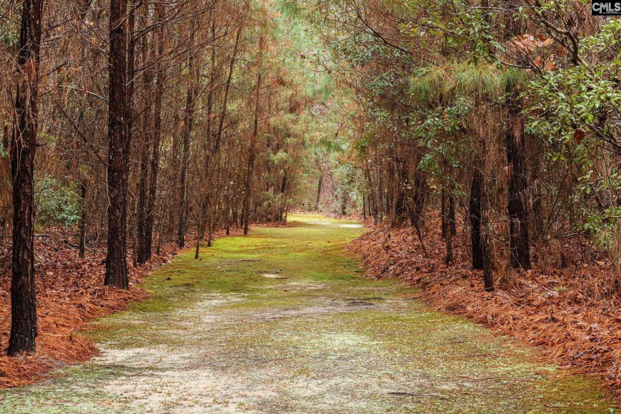 6447 Neeses Highway Photo 80