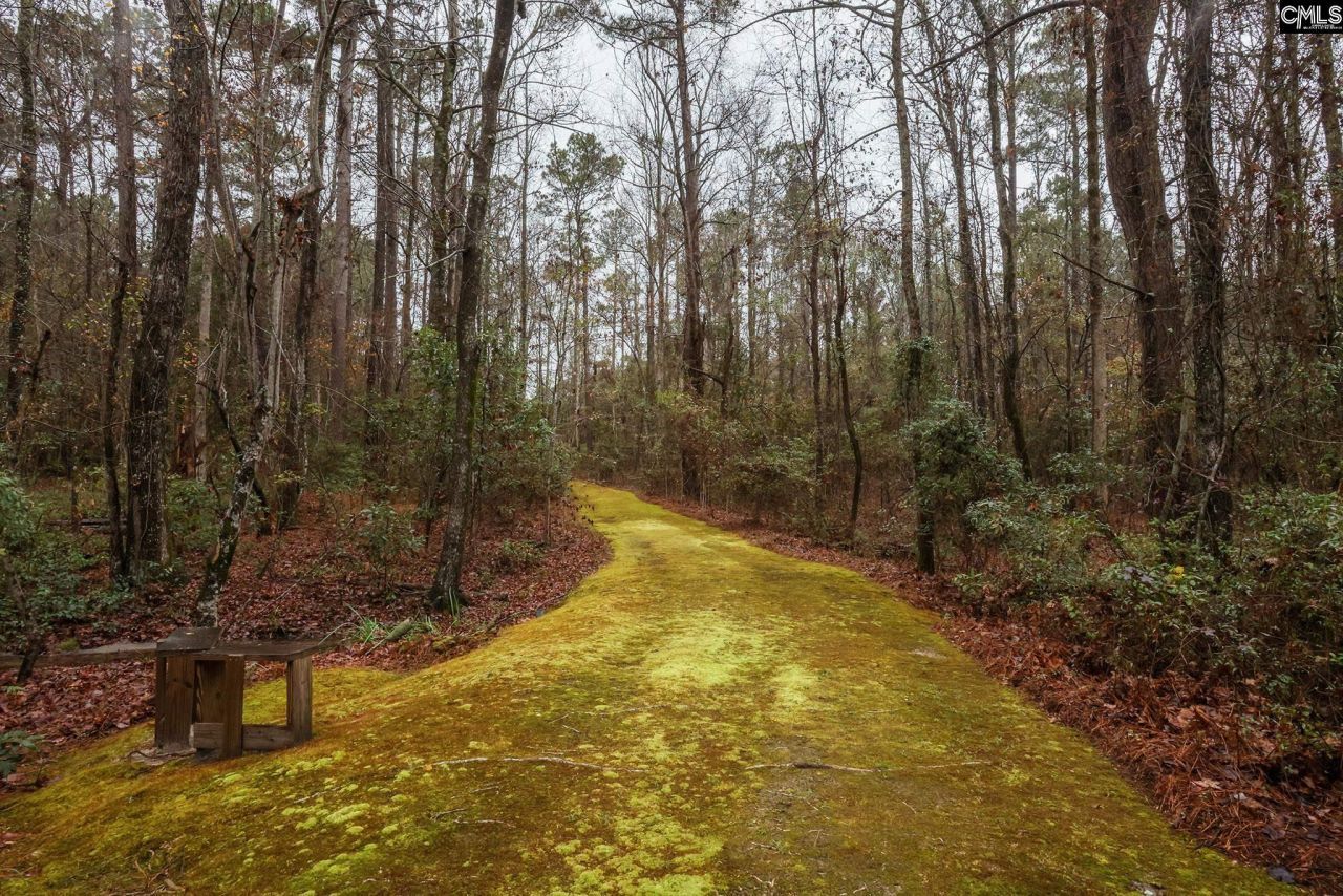 6447 Neeses Highway Photo 81