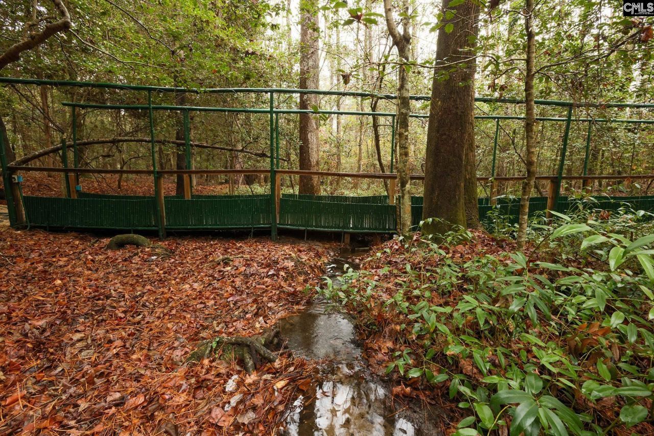 6447 Neeses Highway Photo 88