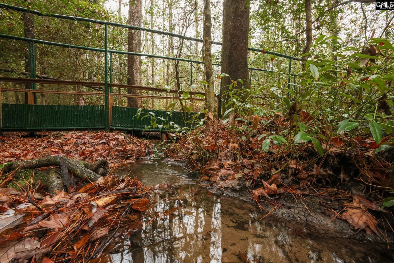 6447 Neeses Highway Photo 89