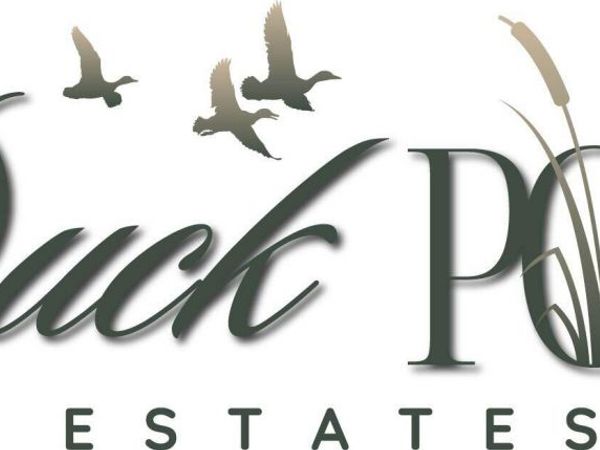 Lt1 60th St, Paddock Lake, WI 53168