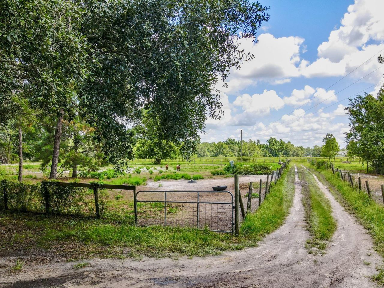 5534 150th Place, Other Florida, FL 32094 Photo