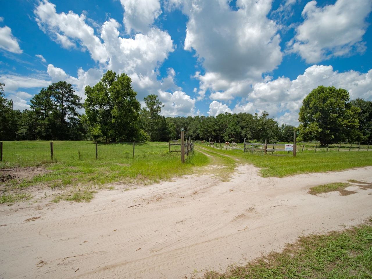 5534 150th Place, Other Florida, FL 32094 Photo