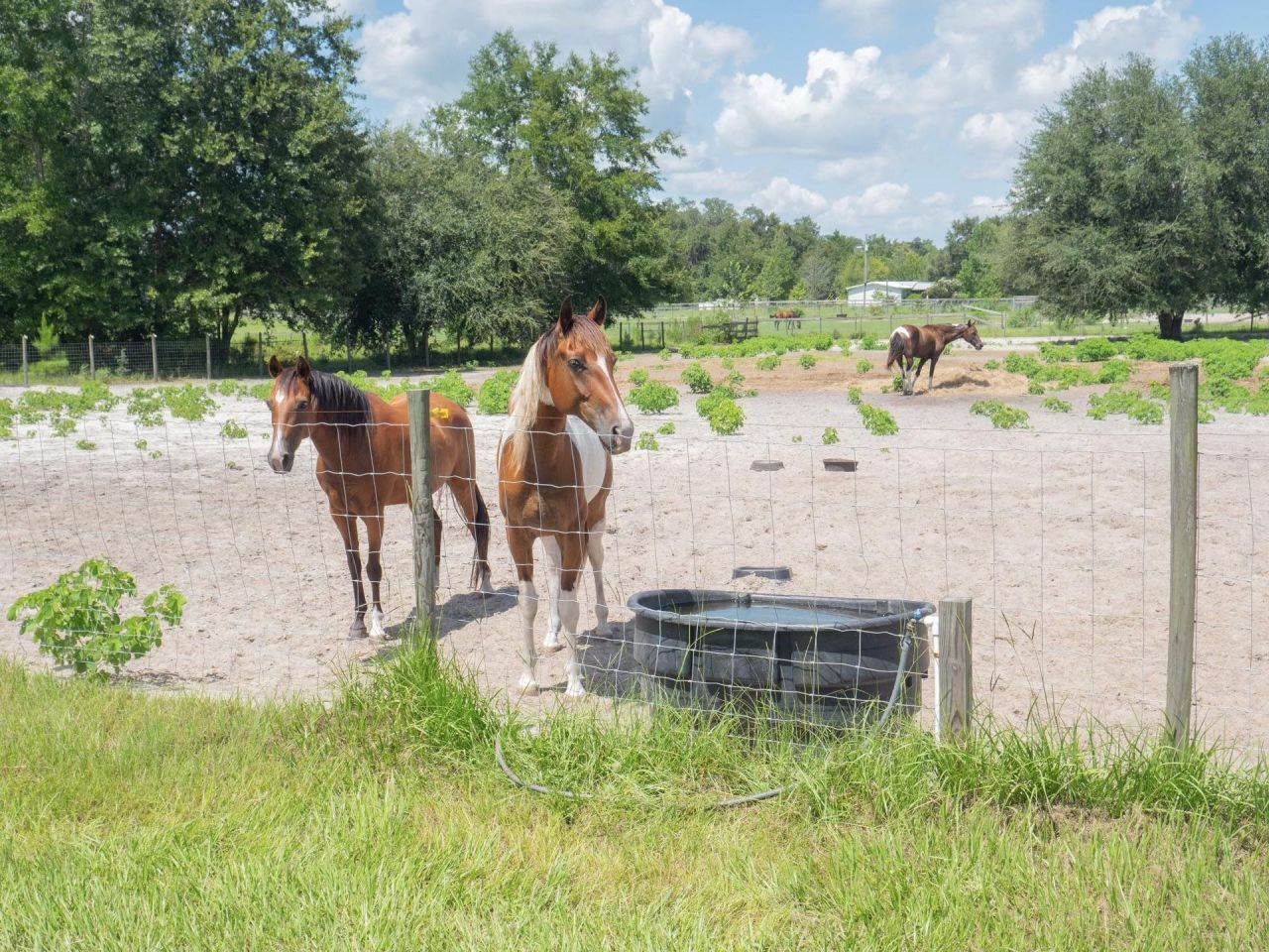 5534 150th Place, Other Florida, FL 32094 Photo