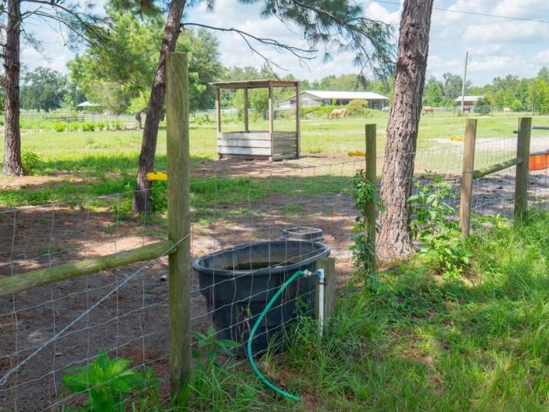 5534 150th Place, Other Florida, FL 32094 Photo