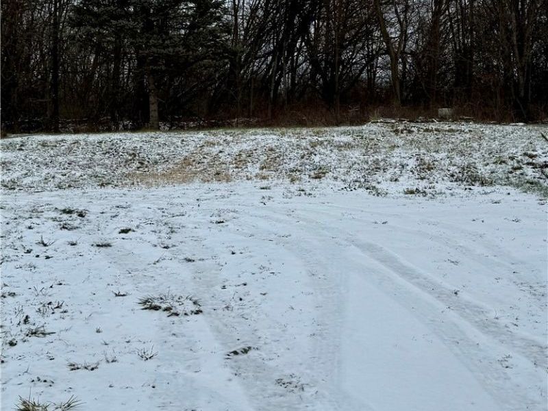 3028 Dearborn Street, Youngstown, OH 44510 Photo 10