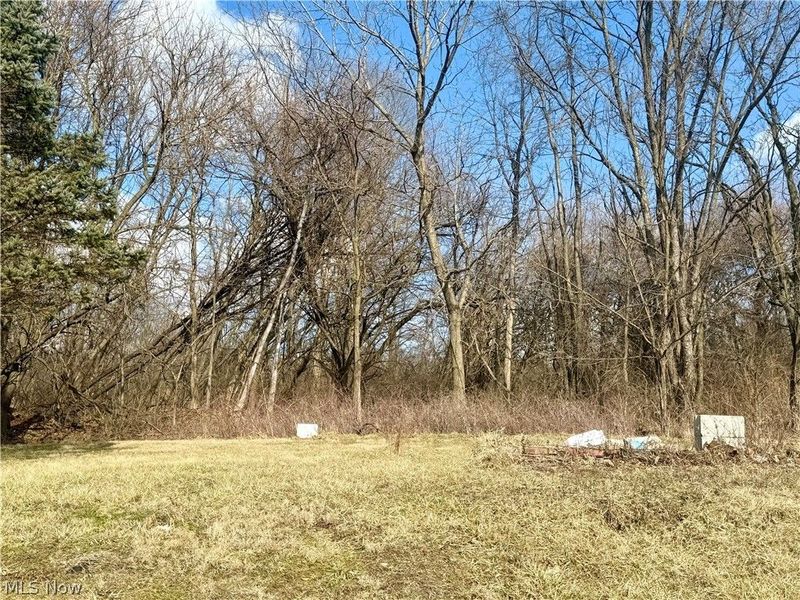 3028 Dearborn Street, Youngstown, OH 44510 Photo 2