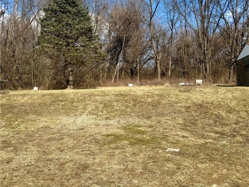 3028 Dearborn Street, Youngstown, OH 44510 Photo 4